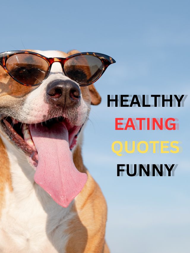 healthy eating quotes funny