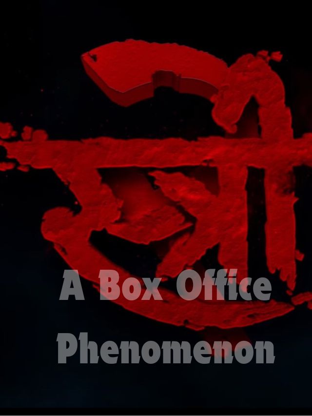 Stree 2 A Box Office Phenomenon – Day 13 Collection